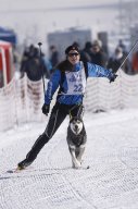 Lenk 2013